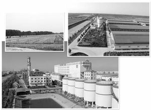 接二連三技術(shù)推廣助力中裕公司拉長產(chǎn)業(yè)鏈